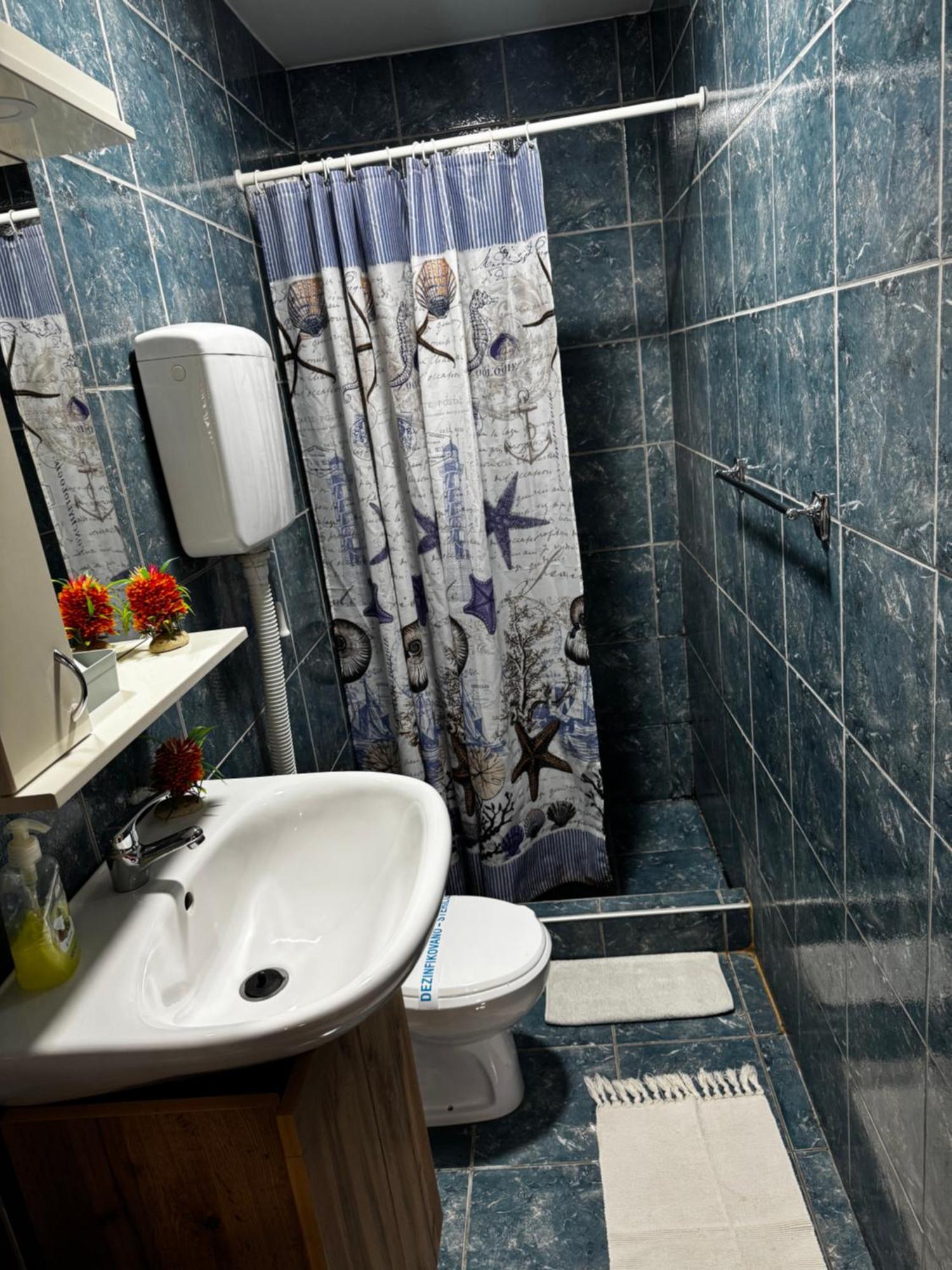 Apartments Vila Brzi & Beka Šabac المظهر الخارجي الصورة